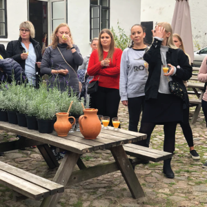 Urteskoler 26 People attending a herbal school event, learning about and engaging with plants.