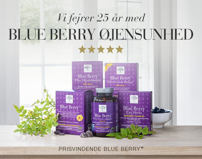 mobile banner blueberry DK