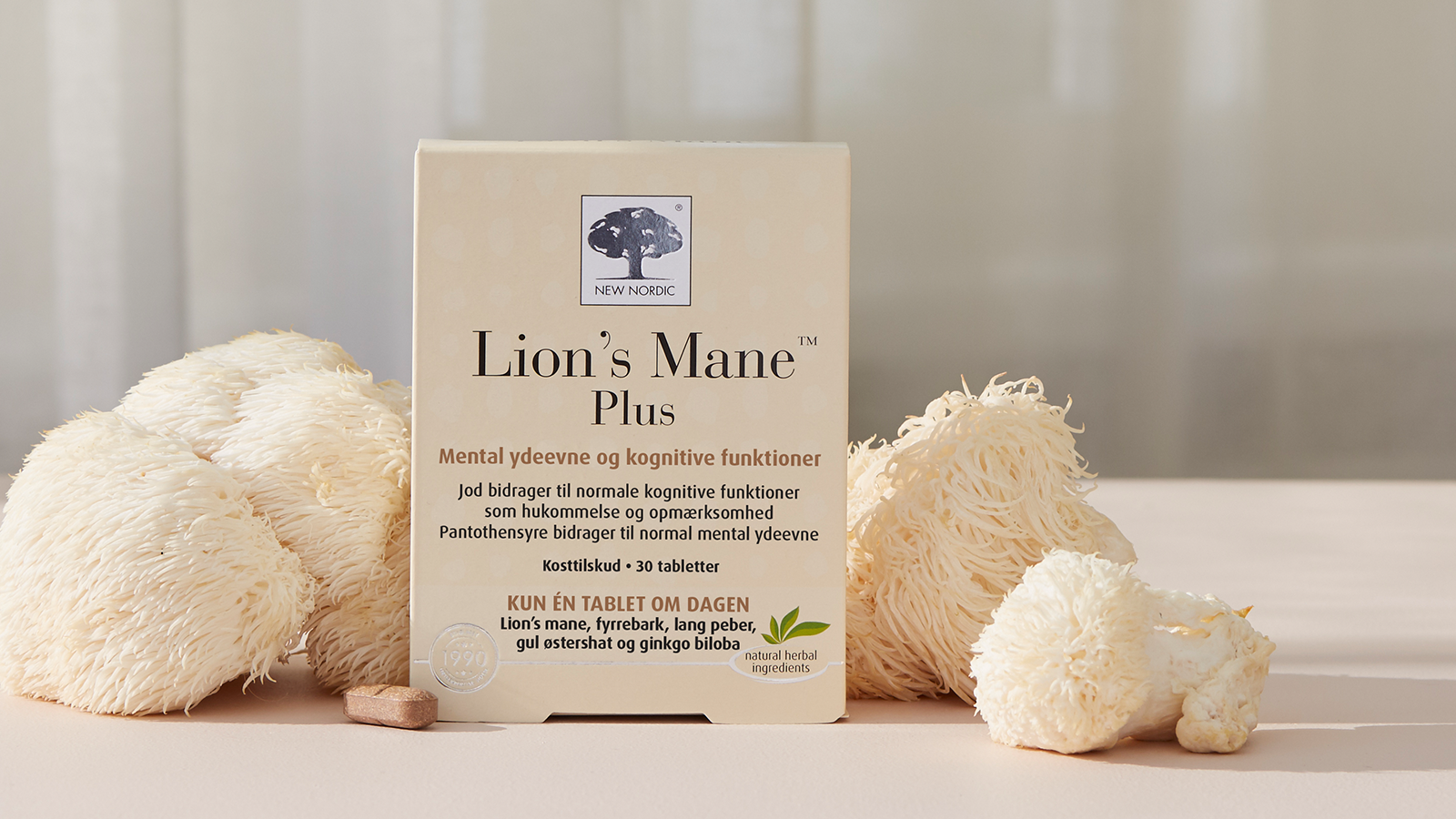 Svampen der er kommet for at blive - Lion's Mane 6 di blogpostimage lionsmane DKNO